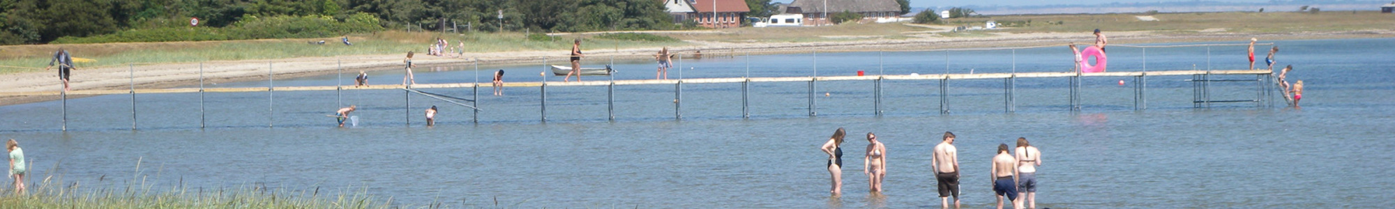 Lolland Badevand Case